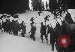 Image of US Army ski troops cross difficult terrain Washington State United States USA, 1941, second 29 stock footage video 65675080941