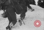 Image of US Army ski troops cross difficult terrain Washington State United States USA, 1941, second 34 stock footage video 65675080941