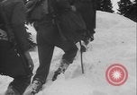Image of US Army ski troops cross difficult terrain Washington State United States USA, 1941, second 35 stock footage video 65675080941