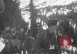 Image of US Army ski troops cross difficult terrain Washington State United States USA, 1941, second 37 stock footage video 65675080941