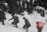 Image of US Army ski troops cross difficult terrain Washington State United States USA, 1941, second 45 stock footage video 65675080941