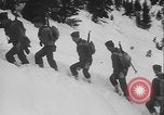 Image of US Army ski troops cross difficult terrain Washington State United States USA, 1941, second 51 stock footage video 65675080941