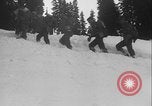 Image of US Army ski troops cross difficult terrain Washington State United States USA, 1941, second 52 stock footage video 65675080941