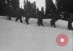 Image of US Army ski troops cross difficult terrain Washington State United States USA, 1941, second 53 stock footage video 65675080941
