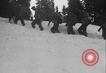 Image of US Army ski troops cross difficult terrain Washington State United States USA, 1941, second 55 stock footage video 65675080941