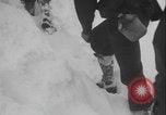 Image of US Army ski troops cross difficult terrain Washington State United States USA, 1941, second 60 stock footage video 65675080941