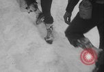 Image of US Army ski troops cross difficult terrain Washington State United States USA, 1941, second 62 stock footage video 65675080941