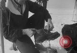 Image of US Army troops rock climbing Washington State United States USA, 1941, second 14 stock footage video 65675080942