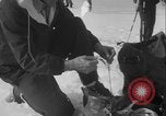 Image of US Army troops rock climbing Washington State United States USA, 1941, second 21 stock footage video 65675080942