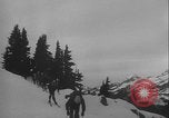 Image of Army ski troops descend mountain slopes Washington State United States USA, 1941, second 22 stock footage video 65675080943