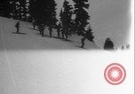 Image of Army ski troops descend mountain slopes Washington State United States USA, 1941, second 41 stock footage video 65675080943