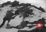 Image of US Army winter mountain skirmish drills Washington State United States USA, 1941, second 21 stock footage video 65675080944
