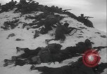 Image of US Army winter mountain skirmish drills Washington State United States USA, 1941, second 24 stock footage video 65675080944