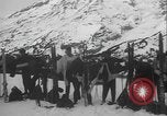 Image of Army ski troops conduct field exercises Washington State United States USA, 1941, second 42 stock footage video 65675080945