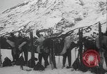 Image of Army ski troops conduct field exercises Washington State United States USA, 1941, second 43 stock footage video 65675080945