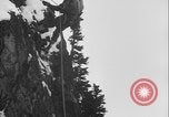 Image of US Army rappelling exercise Washington State United States USA, 1941, second 35 stock footage video 65675080946