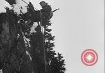 Image of US Army rappelling exercise Washington State United States USA, 1941, second 37 stock footage video 65675080946