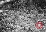 Image of US Army mobile mortar crew Bougainville Island Papau New Guinea, 1944, second 9 stock footage video 65675080947