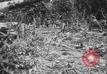 Image of US Army mobile mortar crew Bougainville Island Papau New Guinea, 1944, second 10 stock footage video 65675080947