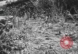 Image of US Army mobile mortar crew Bougainville Island Papau New Guinea, 1944, second 11 stock footage video 65675080947