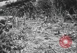 Image of US Army mobile mortar crew Bougainville Island Papau New Guinea, 1944, second 12 stock footage video 65675080947