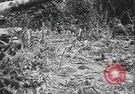 Image of US Army mobile mortar crew Bougainville Island Papau New Guinea, 1944, second 13 stock footage video 65675080947