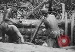 Image of US Army mobile mortar crew Bougainville Island Papau New Guinea, 1944, second 14 stock footage video 65675080947