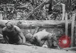 Image of US Army mobile mortar crew Bougainville Island Papau New Guinea, 1944, second 16 stock footage video 65675080947