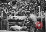 Image of US Army mobile mortar crew Bougainville Island Papau New Guinea, 1944, second 19 stock footage video 65675080947