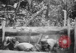 Image of US Army mobile mortar crew Bougainville Island Papau New Guinea, 1944, second 20 stock footage video 65675080947