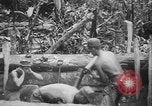 Image of US Army mobile mortar crew Bougainville Island Papau New Guinea, 1944, second 21 stock footage video 65675080947