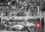 Image of US Army mobile mortar crew Bougainville Island Papau New Guinea, 1944, second 22 stock footage video 65675080947
