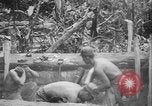 Image of US Army mobile mortar crew Bougainville Island Papau New Guinea, 1944, second 23 stock footage video 65675080947