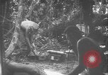 Image of US Army mobile mortar crew Bougainville Island Papau New Guinea, 1944, second 25 stock footage video 65675080947