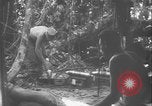 Image of US Army mobile mortar crew Bougainville Island Papau New Guinea, 1944, second 26 stock footage video 65675080947