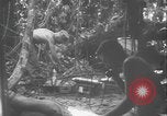 Image of US Army mobile mortar crew Bougainville Island Papau New Guinea, 1944, second 28 stock footage video 65675080947