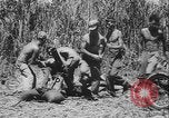 Image of US Army mobile mortar crew Bougainville Island Papau New Guinea, 1944, second 40 stock footage video 65675080947
