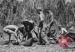 Image of US Army mobile mortar crew Bougainville Island Papau New Guinea, 1944, second 42 stock footage video 65675080947