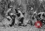 Image of US Army mobile mortar crew Bougainville Island Papau New Guinea, 1944, second 49 stock footage video 65675080947