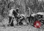 Image of US Army mobile mortar crew Bougainville Island Papau New Guinea, 1944, second 52 stock footage video 65675080947
