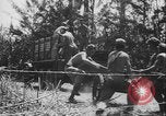 Image of US Army mobile mortar crew Bougainville Island Papau New Guinea, 1944, second 55 stock footage video 65675080947