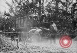 Image of US Army mobile mortar crew Bougainville Island Papau New Guinea, 1944, second 59 stock footage video 65675080947
