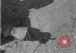 Image of FSSF attacks German outpost Italy, 1944, second 16 stock footage video 65675080948