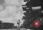Image of Allied supply depots in England Burtonwood England United Kingdom, 1944, second 56 stock footage video 65675080949
