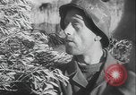 Image of German reconnaissance and railway gun Anzio Italy, 1944, second 12 stock footage video 65675080953