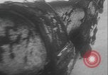 Image of German assault across Lake Peipus Estonia, 1944, second 29 stock footage video 65675080954