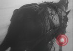 Image of German assault across Lake Peipus Estonia, 1944, second 30 stock footage video 65675080954