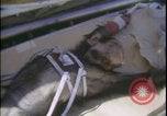 Image of Chimpanzee daisy track test New Mexico United States USA, 1959, second 14 stock footage video 65675080957