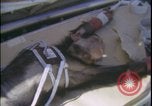 Image of Chimpanzee daisy track test New Mexico United States USA, 1959, second 15 stock footage video 65675080957