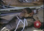 Image of Chimpanzee daisy track test New Mexico United States USA, 1959, second 18 stock footage video 65675080957
